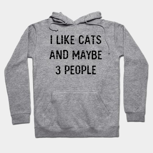 I Like Cats and Maybe 3 People Hoodie by family.d